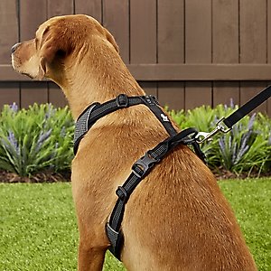Chai's Choice Outdoor Explorer No-Pull 3M Polyester Reflective Dual Clip Dog Harness, Black, Large: 27 to 32.5-in chest