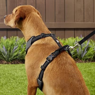 Show full view: Chai's Choice Outdoor Explorer No-Pull 3M Polyester Reflective Dual Clip Dog Harness, Black, Large: 27 to 32.5-in chest slide 6 of 12