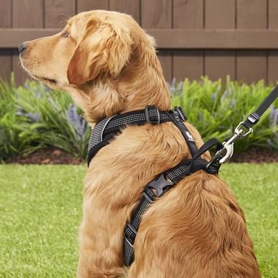 Show full view: Chai's Choice Outdoor Explorer No-Pull 3M Polyester Reflective Dual Clip Dog Harness, Black, Medium: 22 to 27-in chest slide 6 of 12