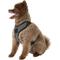 Show in main carousel: Chai's Choice Outdoor Explorer No-Pull 3M Polyester Reflective Dual Clip Dog Harness, Black, Small: 18 to 22-in chest slide 3 of 12