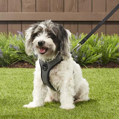 Show full view: Chai's Choice Outdoor Explorer No-Pull 3M Polyester Reflective Dual Clip Dog Harness, Black, Small: 18 to 22-in chest slide 5 of 12