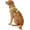 Show in main carousel: Chai's Choice Outdoor Explorer No-Pull 3M Polyester Reflective Dual Clip Dog Harness, Neon Yellow, Medium: 22 to 27-in chest slide 4 of 12