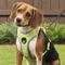 Show in main carousel: Chai's Choice Outdoor Explorer No-Pull 3M Polyester Reflective Dual Clip Dog Harness, Neon Yellow, Medium: 22 to 27-in chest slide 5 of 12