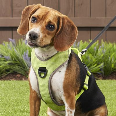 Show full view: Chai's Choice Outdoor Explorer No-Pull 3M Polyester Reflective Dual Clip Dog Harness, Neon Yellow, Medium: 22 to 27-in chest slide 5 of 12