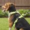 Show in main carousel: Chai's Choice Outdoor Explorer No-Pull 3M Polyester Reflective Dual Clip Dog Harness, Neon Yellow, Medium: 22 to 27-in chest slide 6 of 12