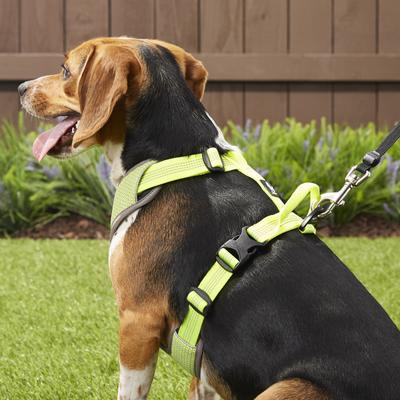 Show full view: Chai's Choice Outdoor Explorer No-Pull 3M Polyester Reflective Dual Clip Dog Harness, Neon Yellow, Medium: 22 to 27-in chest slide 6 of 12
