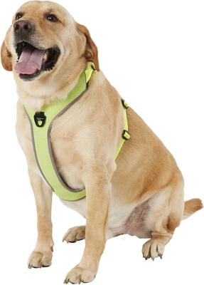 Show full view: Chai's Choice Outdoor Explorer No-Pull 3M Polyester Reflective Dual Clip Dog Harness, Neon Yellow, X-Large: 32.5 to 42-in chest slide 3 of 12