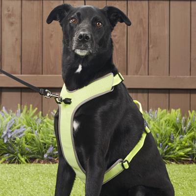 Show full view: Chai's Choice Outdoor Explorer No-Pull 3M Polyester Reflective Dual Clip Dog Harness, Neon Yellow, X-Large: 32.5 to 42-in chest slide 5 of 12