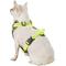 Show in main carousel: Chai's Choice Outdoor Explorer No-Pull 3M Polyester Reflective Dual Clip Dog Harness, Neon Yellow, X-Small: 15 to 18-in chest slide 4 of 12