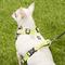 Show in main carousel: Chai's Choice Outdoor Explorer No-Pull 3M Polyester Reflective Dual Clip Dog Harness, Neon Yellow, X-Small: 15 to 18-in chest slide 6 of 12