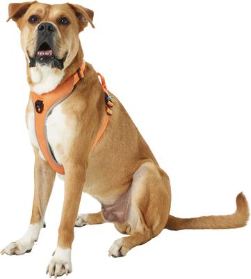 Show full view: Chai's Choice Outdoor Explorer No-Pull 3M Polyester Reflective Dual Clip Dog Harness, Orange, Large: 27 to 32.5-in chest slide 3 of 12