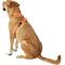 Show in main carousel: Chai's Choice Outdoor Explorer No-Pull 3M Polyester Reflective Dual Clip Dog Harness, Orange, Large: 27 to 32.5-in chest slide 4 of 12