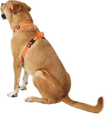 Show full view: Chai's Choice Outdoor Explorer No-Pull 3M Polyester Reflective Dual Clip Dog Harness, Orange, Large: 27 to 32.5-in chest slide 4 of 12