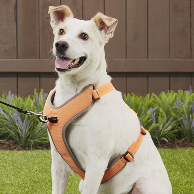 Show full view: Chai's Choice Outdoor Explorer No-Pull 3M Polyester Reflective Dual Clip Dog Harness, Orange, Large: 27 to 32.5-in chest slide 5 of 12