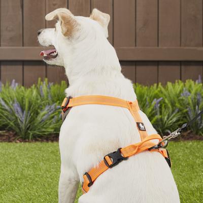Show full view: Chai's Choice Outdoor Explorer No-Pull 3M Polyester Reflective Dual Clip Dog Harness, Orange, Large: 27 to 32.5-in chest slide 6 of 12
