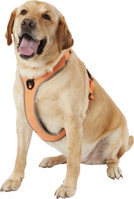 Show full view: Chai's Choice Outdoor Explorer No-Pull 3M Polyester Reflective Dual Clip Dog Harness, Orange, X-Large: 32.5 to 42-in chest slide 3 of 12