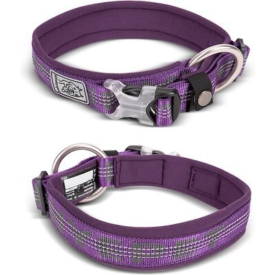 Chai's Choice Chai's Choice Premium Dog Collar, Purple, Large