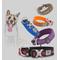 Show in main carousel: Chai's Choice Premium Dog Collar, Purple, Medium slide 6 of 8