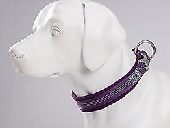 Chai's Choice Premium Dog Collar, Purple, X-Small slide 2 of 7