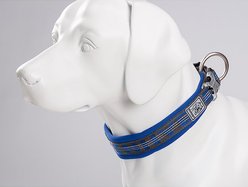 Chai's Choice Premium Dog Collar, Royal Blue & Gray, XX-Large slide 2 of 7