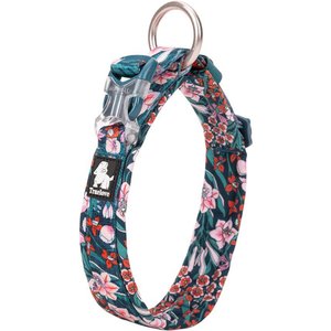 Chai's Choice Premium Floral Dog Collar, Blue, Large