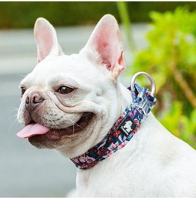 Show full view: Chai's Choice Premium Floral Dog Collar, Blue, Large slide 6 of 7