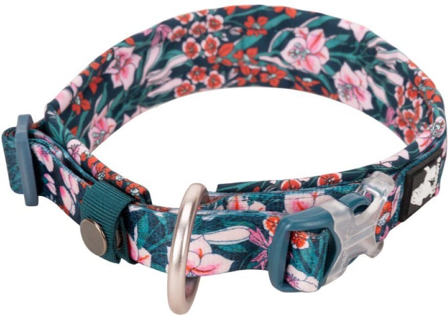 Chai's Choice Premium Floral Dog Collar