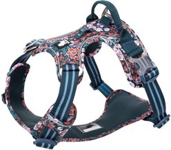 Chai's Choice Premium Floral Dog Harness, Blue, Medium