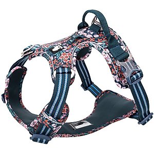 Chai's Choice Premium Floral Dog Harness, Blue, Small