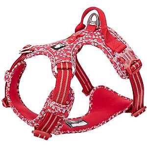 Chai's Choice Premium Floral Dog Harness, Red, Large