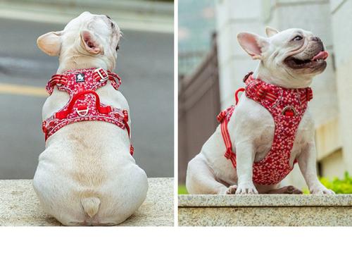 Show full view: Chai's Choice Premium Floral Dog Harness, Red, Small slide 5 of 12