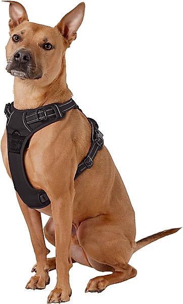 Show full view: Chai's Choice Premium Outdoor Adventure 3M Polyester Reflective Front Clip Dog Harness, Black, Large: 27 to 32-in chest slide 3 of 12