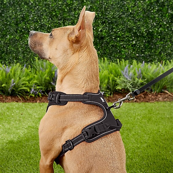Show full view: Chai's Choice Premium Outdoor Adventure 3M Polyester Reflective Front Clip Dog Harness, Black, Large: 27 to 32-in chest slide 5 of 12
