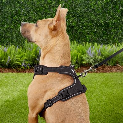 Show full view: Chai's Choice Premium Outdoor Adventure 3M Polyester Reflective Front Clip Dog Harness, Black, Large: 27 to 32-in chest slide 6 of 13