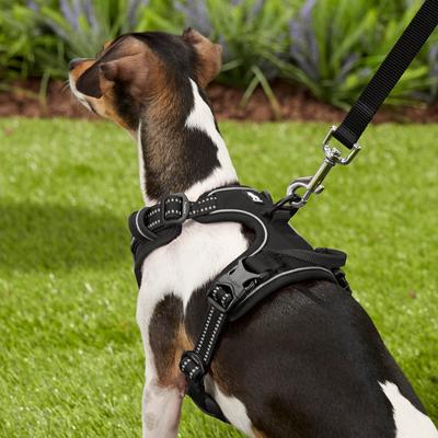 Show full view: Chai's Choice Premium Outdoor Adventure 3M Polyester Reflective Front Clip Dog Harness, Black, Small: 17 to 22-in chest slide 6 of 13