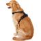 Show in main carousel: Chai's Choice Premium Outdoor Adventure 3M Polyester Reflective Front Clip Dog Harness, Black, X-Large: 32 to 42-in chest slide 4 of 12