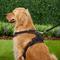 Show in main carousel: Chai's Choice Premium Outdoor Adventure 3M Polyester Reflective Front Clip Dog Harness, Black, X-Large: 32 to 42-in chest slide 5 of 12