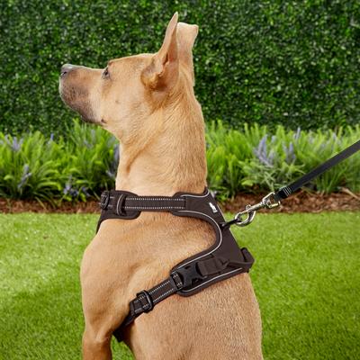 Show full view: Chai's Choice Premium Outdoor Adventure 3M Polyester Reflective Front Clip Dog Harness, Chocolate, Large: 27 to 32-in chest slide 6 of 13