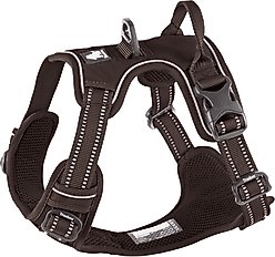 Chai's Choice Premium Outdoor Adventure 3M Polyester Reflective Front Clip Dog Harness, Chocolate, Medium: 22 to 27-in chest