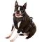 Show in main carousel: Chai's Choice Premium Outdoor Adventure 3M Polyester Reflective Front Clip Dog Harness, Chocolate, Medium: 22 to 27-in chest slide 3 of 12