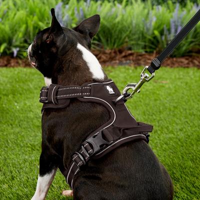 Show full view: Chai's Choice Premium Outdoor Adventure 3M Polyester Reflective Front Clip Dog Harness, Chocolate, Medium: 22 to 27-in chest slide 5 of 12