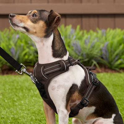 Show full view: Chai's Choice Premium Outdoor Adventure 3M Polyester Reflective Front Clip Dog Harness, Chocolate, Small: 17 to 22-in chest slide 5 of 12