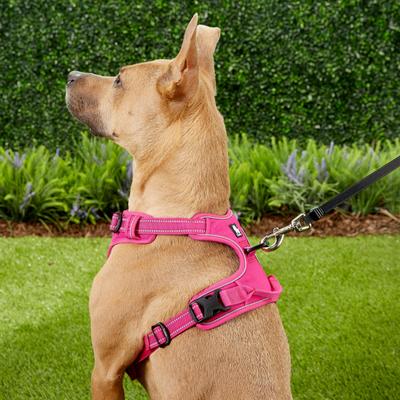 Show full view: Chai's Choice Premium Outdoor Adventure 3M Polyester Reflective Front Clip Dog Harness, Fuchsia, Large: 27 to 32-in chest slide 6 of 13