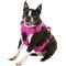 Show in main carousel: Chai's Choice Premium Outdoor Adventure 3M Polyester Reflective Front Clip Dog Harness, Fuchsia, Medium: 22 to 27-in chest slide 3 of 12