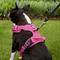 Show in main carousel: Chai's Choice Premium Outdoor Adventure 3M Polyester Reflective Front Clip Dog Harness, Fuchsia, Medium: 22 to 27-in chest slide 5 of 12
