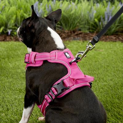 Show full view: Chai's Choice Premium Outdoor Adventure 3M Polyester Reflective Front Clip Dog Harness, Fuchsia, Medium: 22 to 27-in chest slide 5 of 12