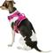 Show in main carousel: Chai's Choice Premium Outdoor Adventure 3M Polyester Reflective Front Clip Dog Harness, Fuchsia, Small: 17 to 22-in chest slide 4 of 12