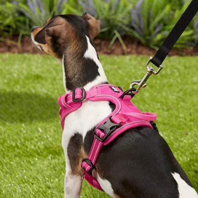 Show full view: Chai's Choice Premium Outdoor Adventure 3M Polyester Reflective Front Clip Dog Harness, Fuchsia, Small: 17 to 22-in chest slide 5 of 12