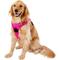 Show in main carousel: Chai's Choice Premium Outdoor Adventure 3M Polyester Reflective Front Clip Dog Harness, Fuchsia, X-Large: 32 to 42-in chest slide 4 of 13