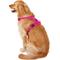 Show in main carousel: Chai's Choice Premium Outdoor Adventure 3M Polyester Reflective Front Clip Dog Harness, Fuchsia, X-Large: 32 to 42-in chest slide 5 of 13